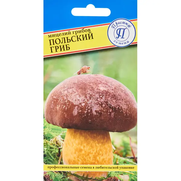 Мицелий грибов гриб Польский