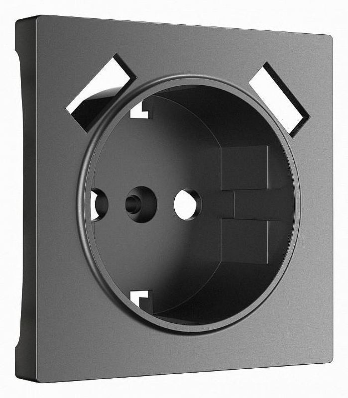 Накладка для розетки с заземлением и 2хUSB Werkel графит матовый W1179564 цвет Графит
