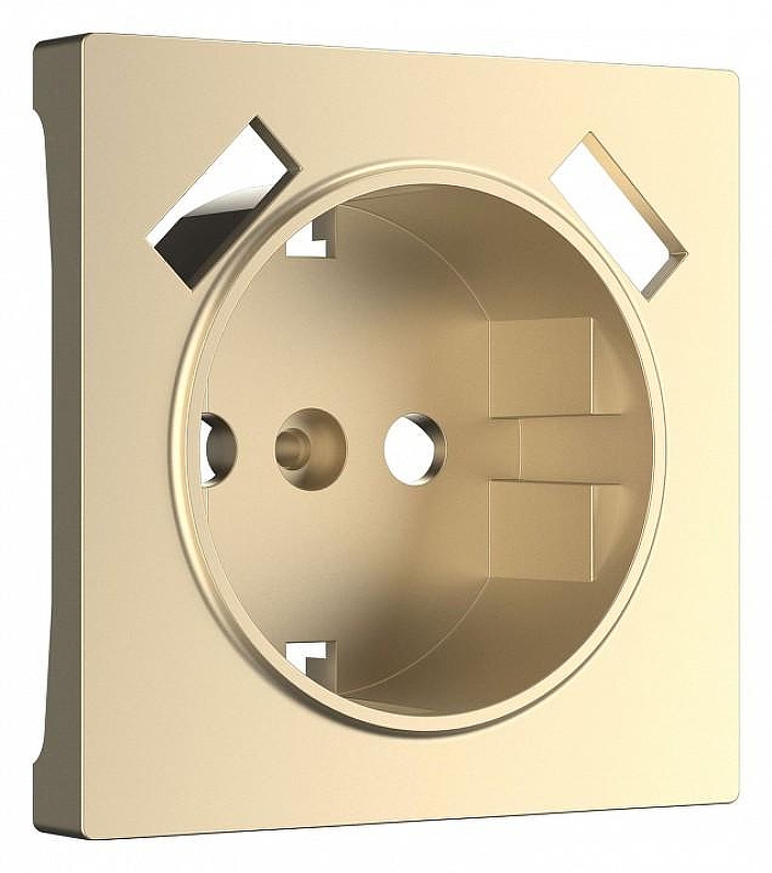 Накладка для розетки с заземлением и 2хUSB Werkel шампань W1179511 цвет Бежевый