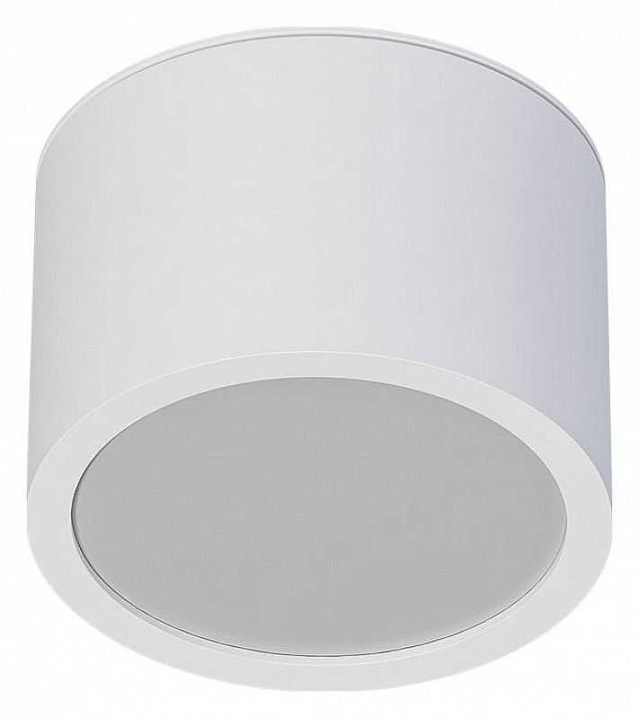 Накладной светильник Artelamp 1ntercrus A5543PL-1WH цвет плафона/подвески Белый, цвет арматуры Белый