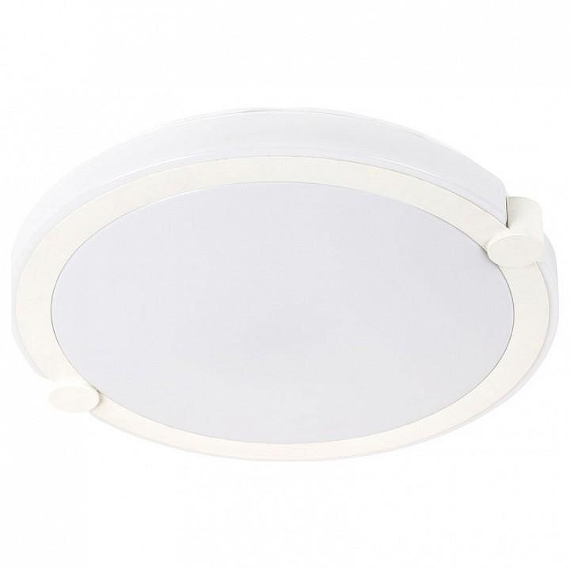 Накладной светильник Artelamp B1scott1 A2679PL-72WH цвет плафона/подвески Белый, цвет арматуры Белый