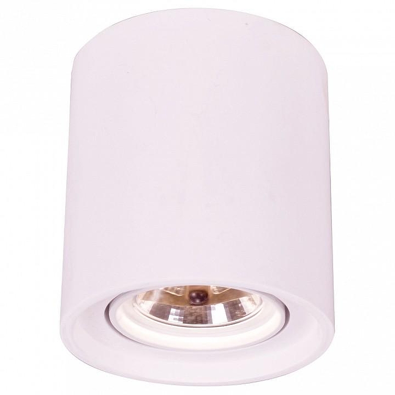 Накладной светильник Artelamp Tubo A9262PL-1WH цвет Белый