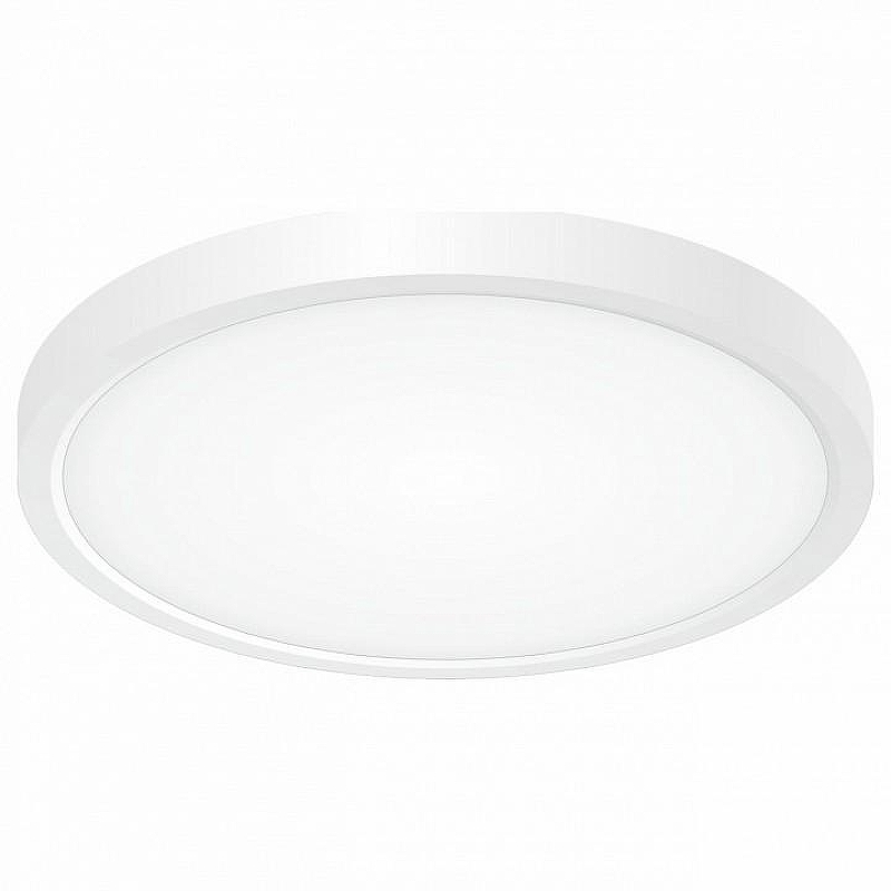 Накладной светильник Citilux Бейсик CL738180V цвет плафона/подвески Белый, цвет арматуры Белый