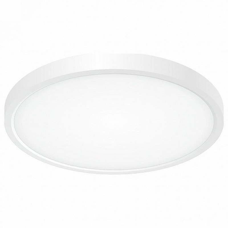 Накладной светильник Citilux Бейсик CL738240V цвет плафона/подвески Белый, цвет арматуры Черный