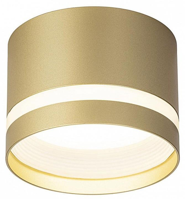 Накладной светильник Citilux Hardy CL002C12 цвет плафона/подвески Золото, цвет арматуры Золото