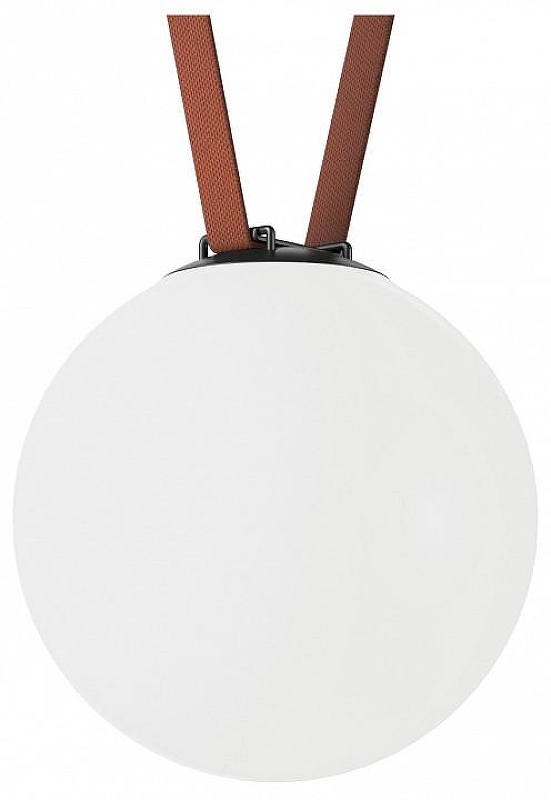 Накладной светильник Denkirs Belty Orb DK5554-BK цвет плафона/подвески Белый, цвет арматуры Черный