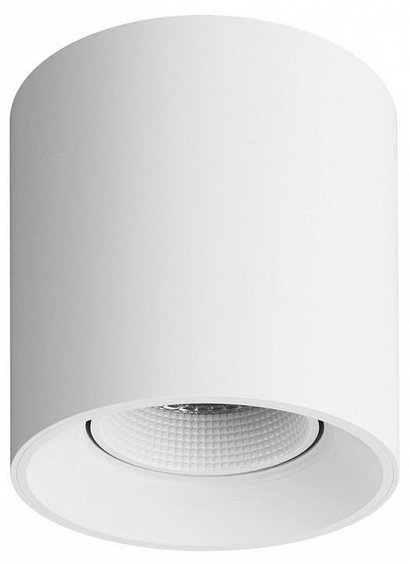 Накладной светильник Denkirs DK3040 DK3090-WH цвет плафона/подвески Белый, цвет арматуры Белый