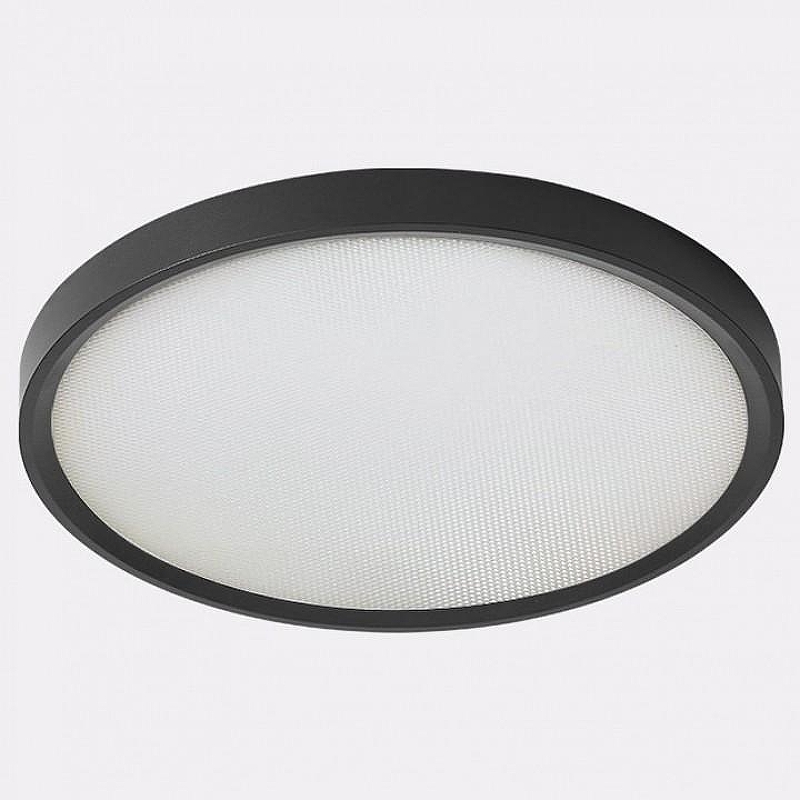 Накладной светильник Italline IT011 IT011-5024 black цвет плафона/подвески Белый, цвет арматуры Черный