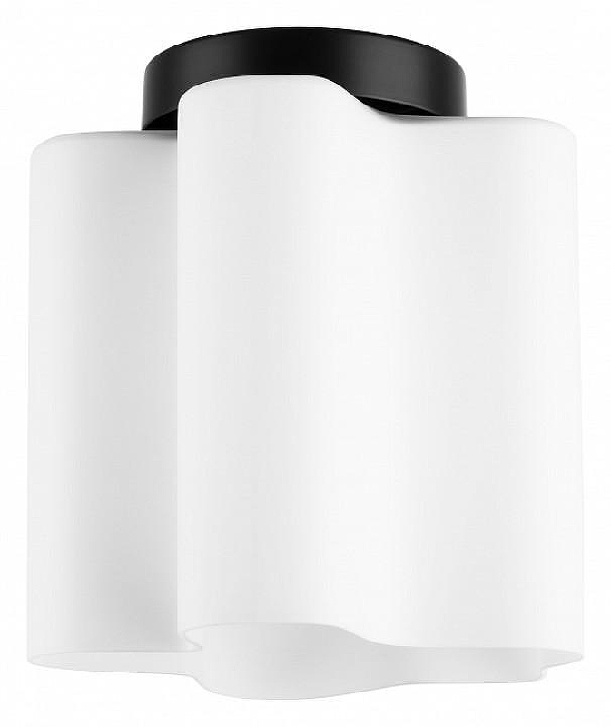 Накладной светильник Lightstar Nub1 802017 цвет плафона/подвески Белый, цвет арматуры Черный