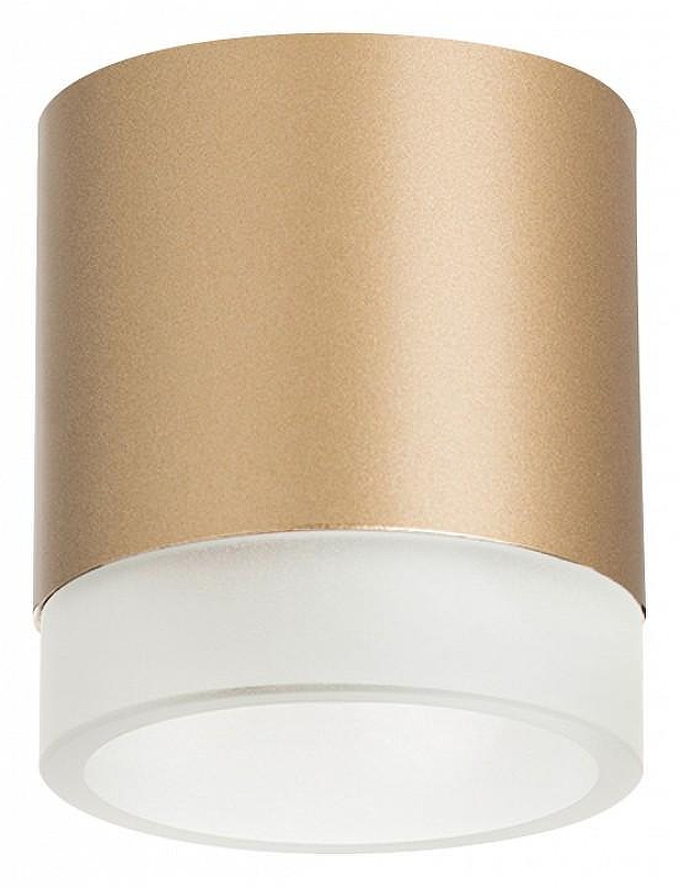 Накладной светильник Lightstar Rullo R349080 цвет плафона/подвески Золото, цвет арматуры Золото