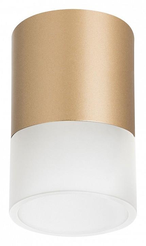 Накладной светильник Lightstar Rullo R349081 цвет плафона/подвески Золото, цвет арматуры Золото