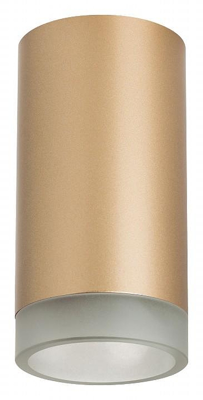 Накладной светильник Lightstar Rullo R44030 цвет плафона/подвески Белый, Золото, цвет арматуры Золото