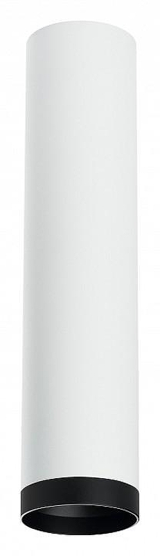Накладной светильник Lightstar Rullo R4963437 цвет плафона/подвески Белый, Черный, цвет арматуры Белый