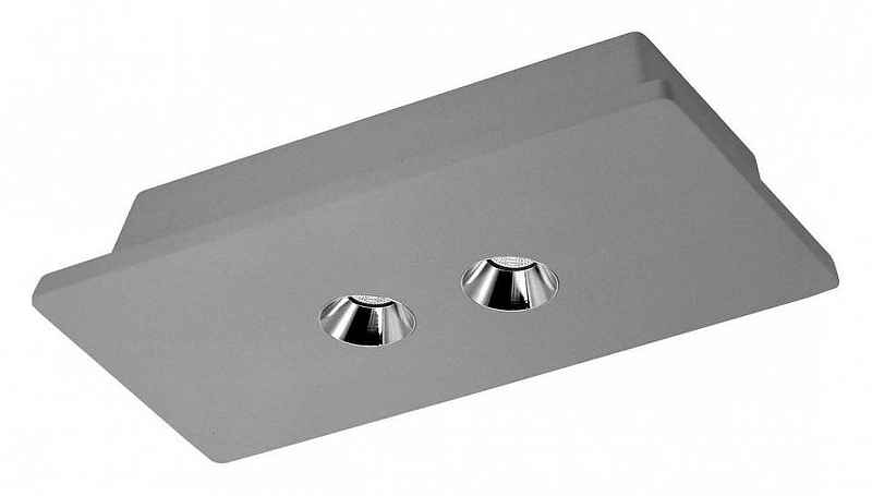 Накладной светильник Loft it Arch1tect OL1072-GH/2 цвет Серый, Хром