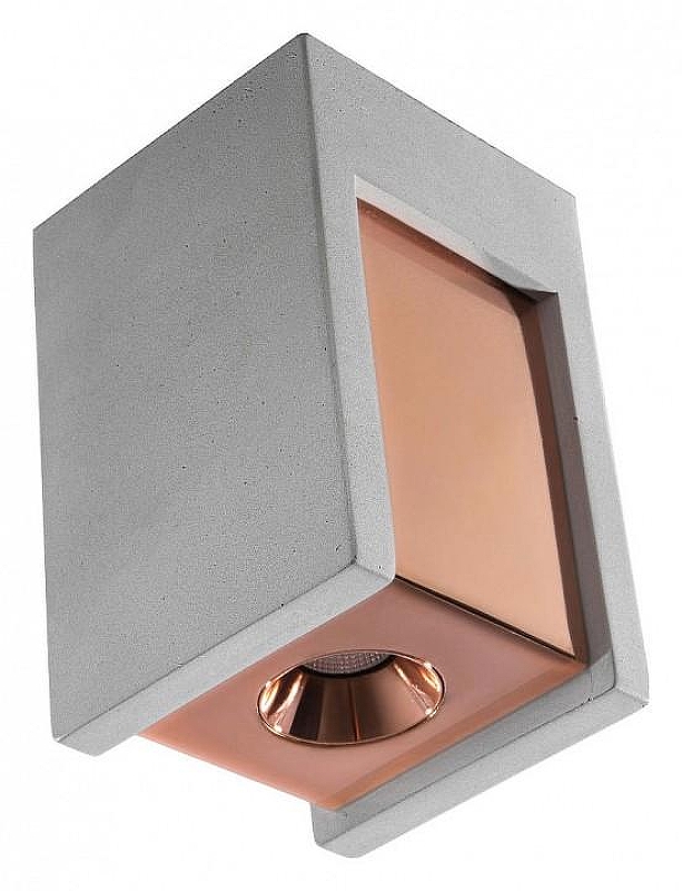 Накладной светильник Loft it Arch1tect OL1073-GG цвет плафона/подвески Золото, Серый, цвет арматуры Серый
