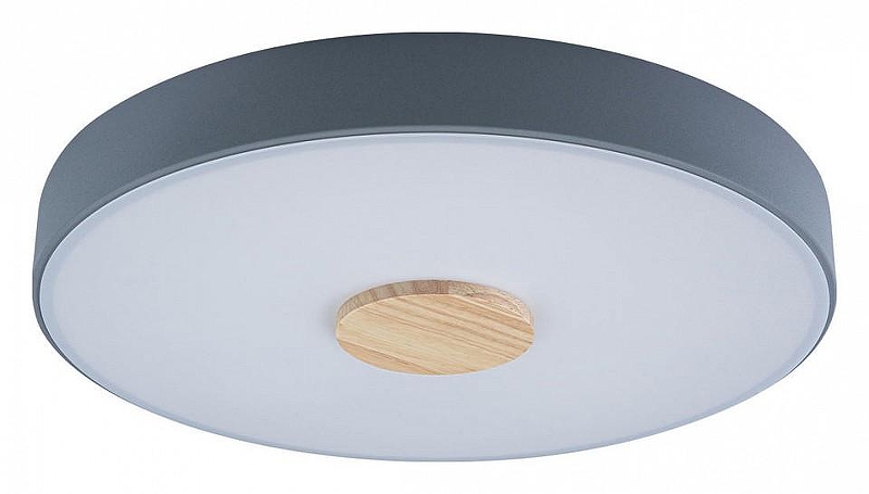 Накладной светильник Loft it Axel 2 10003/24 Grey цвет плафона/подвески Белый, Серый, цвет арматуры Серый