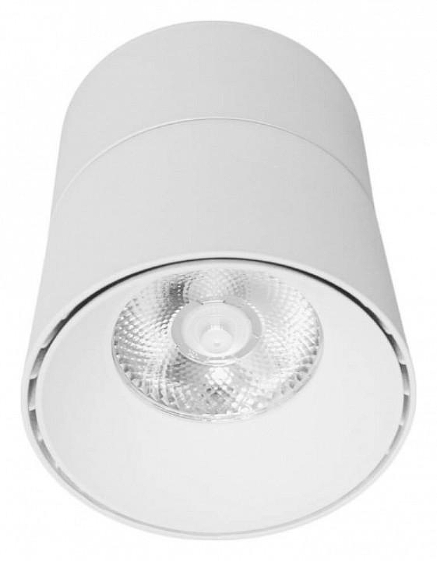 Накладной светильник LUMINA DECO Maxton LDC 8054-12W WT цвет плафона/подвески Белый, цвет арматуры Белый