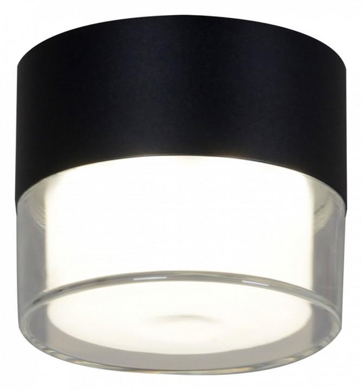 Накладной светильник Reluce Technical 81155 81155-9.5-001MN LED7W BK цвет плафона/подвески Прозрачный, Черный, цвет арматуры Черный