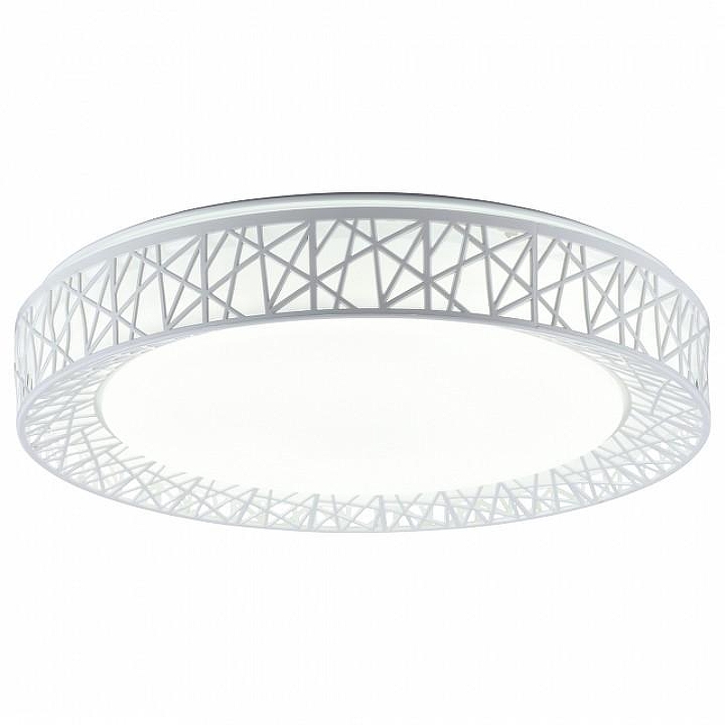 Накладной светильник TopLight Diana TL1204X-72WH цвет плафона/подвески Белый, цвет арматуры Белый