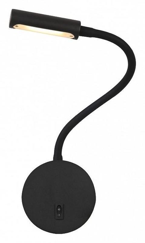 Настенный светильник Maytoni Ceiling Wall Stem Led C035WL-L3B3K Черный