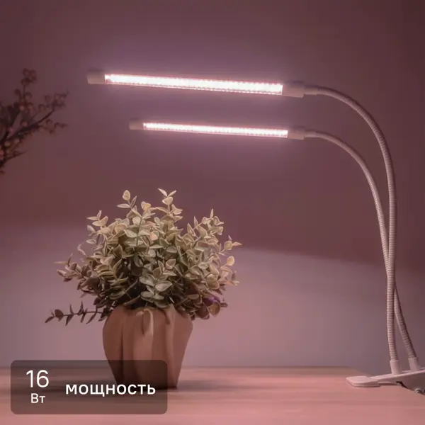 Настольная фитолампа светодиодный Uniel P38 на прищепке 16 Вт полного спектра для растений