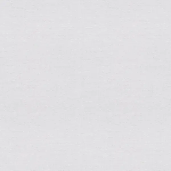 Обои флизелиновые Erismann FD124 бело-серые 1.06 м 12270-10