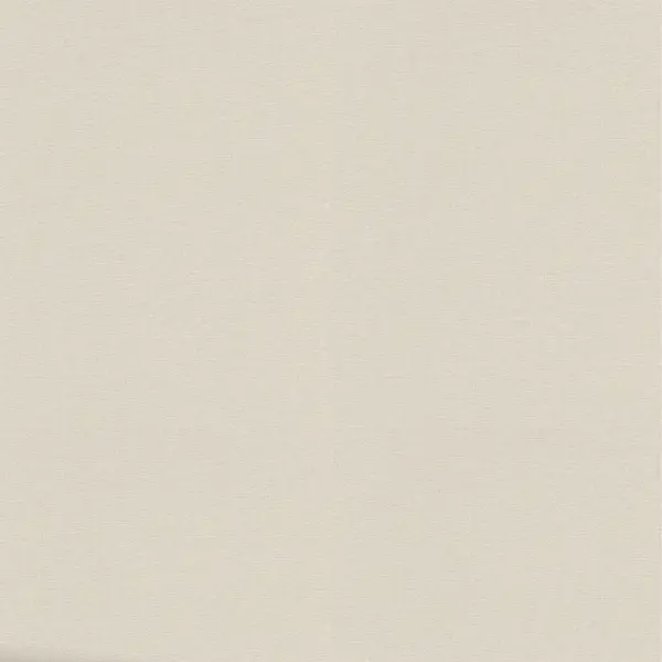 Обои флизелиновые Erismann SG бежевые 1.06 м ER12242-02