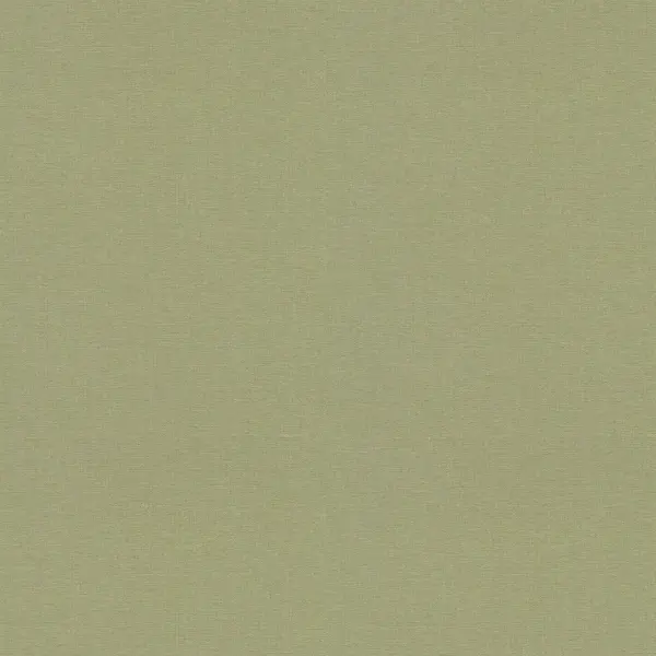 Обои флизелиновые Erismann SG зеленые 1.06 м ER12242-07