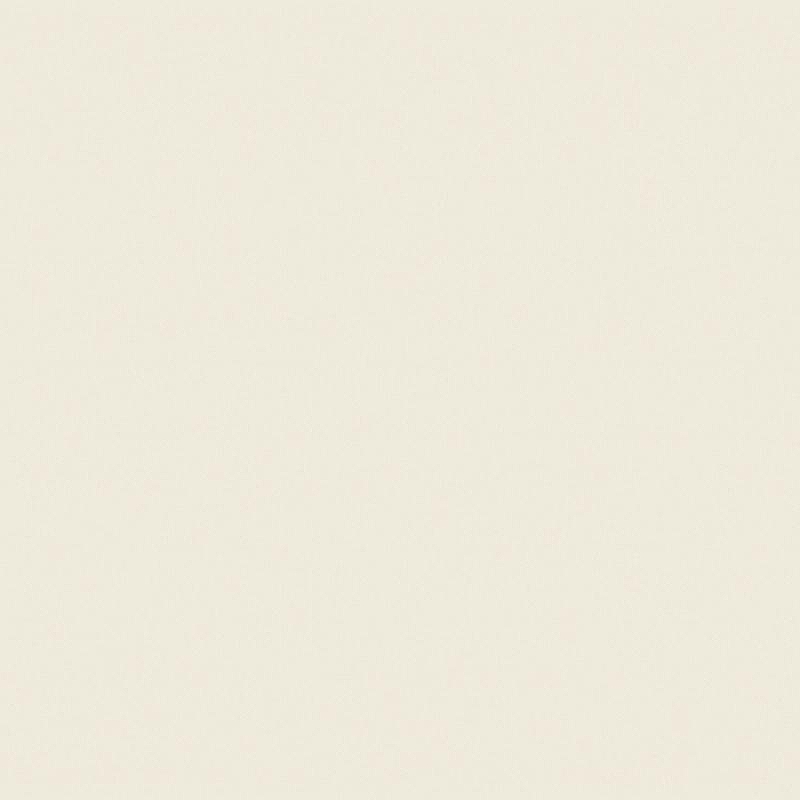 Обои LOYMINA Golden Library SAT4 005/1 Винил на флизелине (1*10,05) Белый, Однотонные