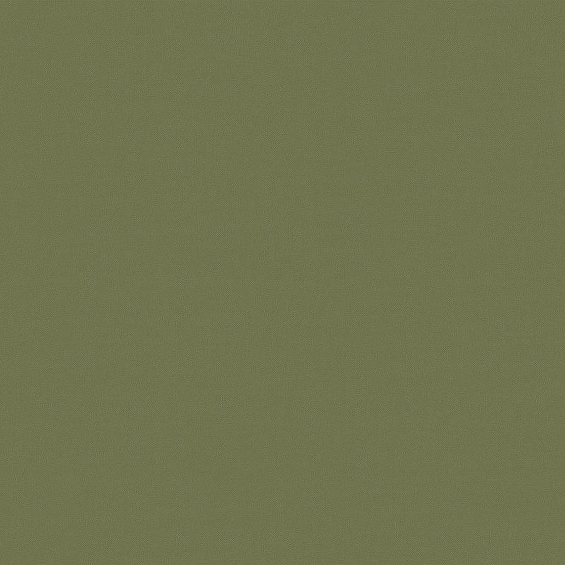Обои LOYMINA Origins ALS8 005/1 Винил на флизелине (1*10,05) Зеленый, Рогожка