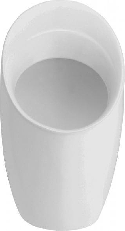 Писсуар Jacob Delafon Patio E1545-00 подвесной цвет Белый