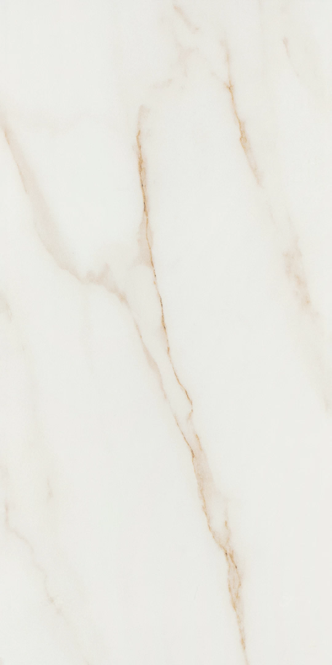 Плитка облицовочная Gracia Ceramica Бруно белая 600x300x9 мм (8 шт.=1,44 кв.м)