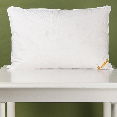Подушка Ozdilek goose 70x70 см