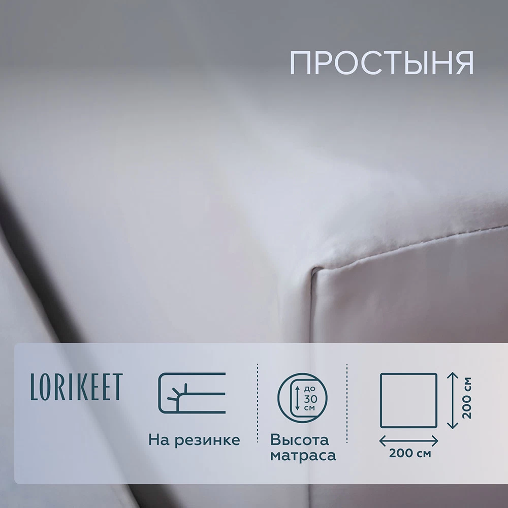Простыня на резинке 200х200х30 см сатин серая Lorikeet Solo