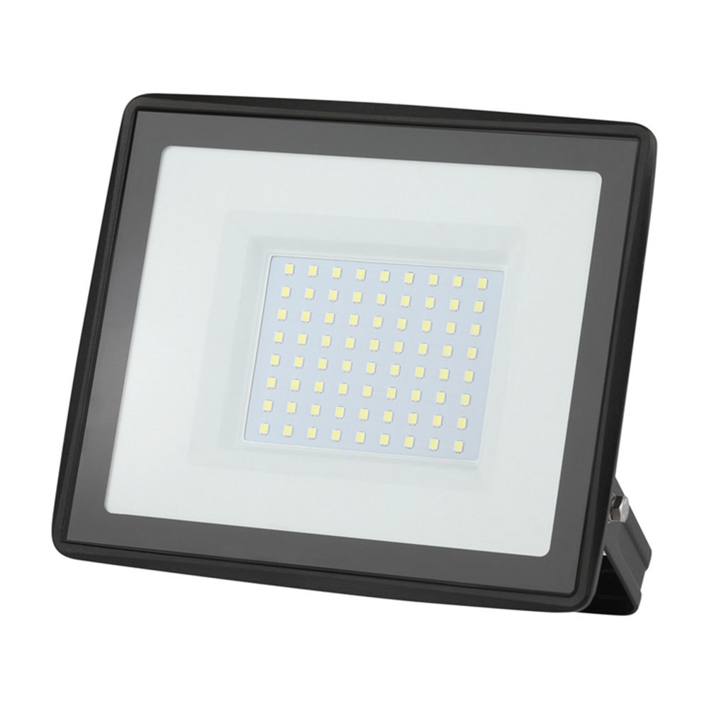 Прожектор светодиодный Эра LPR-02 6500К 100 Вт IP65 черный