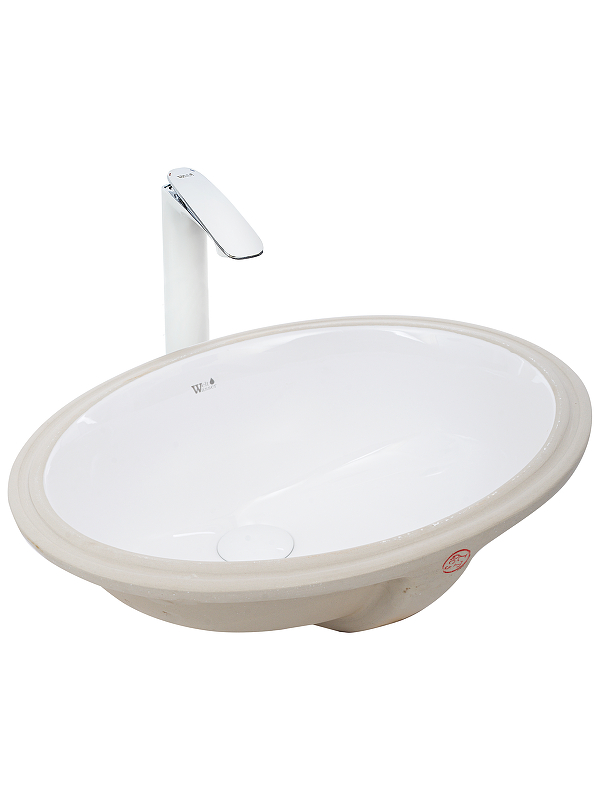 Раковина WeltWasser Deilbach 6005 51 10000003894 Белый глянец