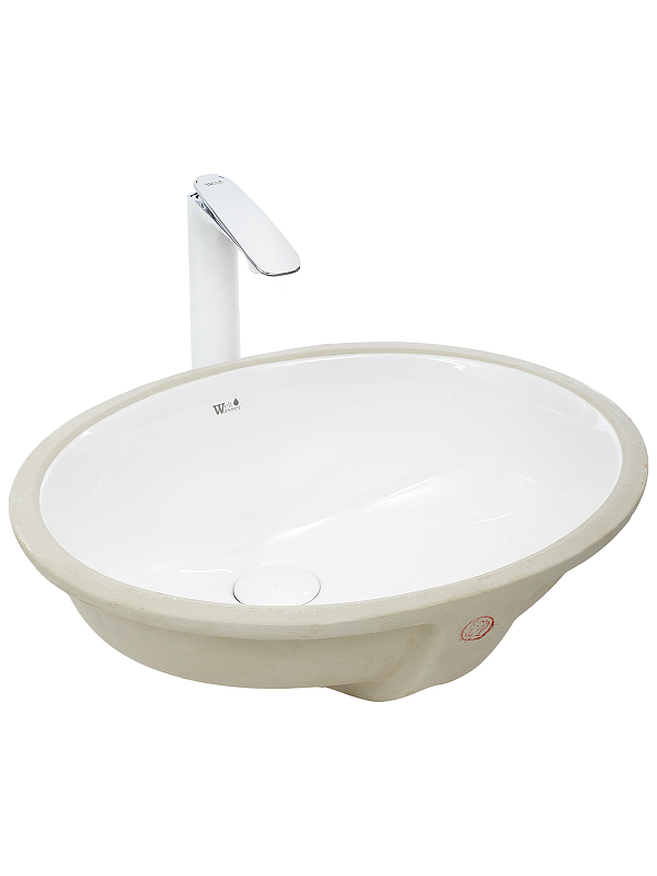 Раковина WeltWasser Deilbach 6021 49 10000003897 Белый глянец
