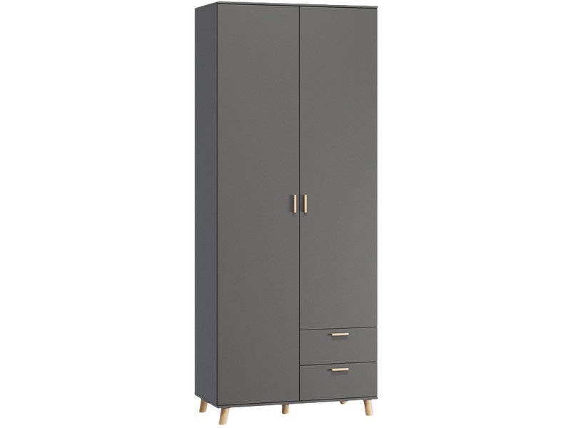 Распашной шкаф Пронто 2-90x210 Графитовый