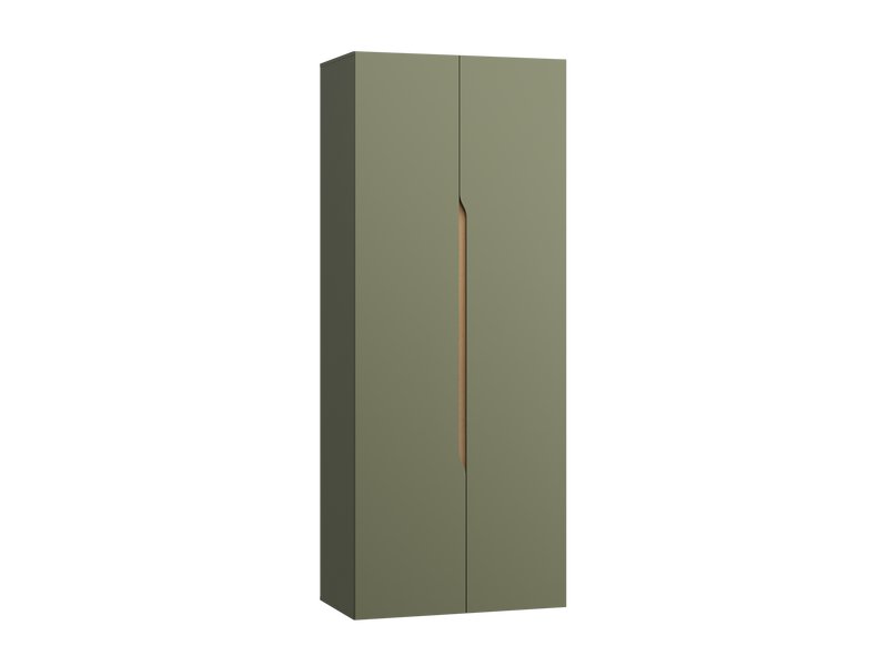 Распашной шкаф Ренар 2-100x250 Оливковый