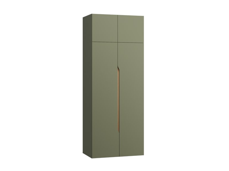 Распашной шкаф Ренар 2.1-100x260 Оливковый