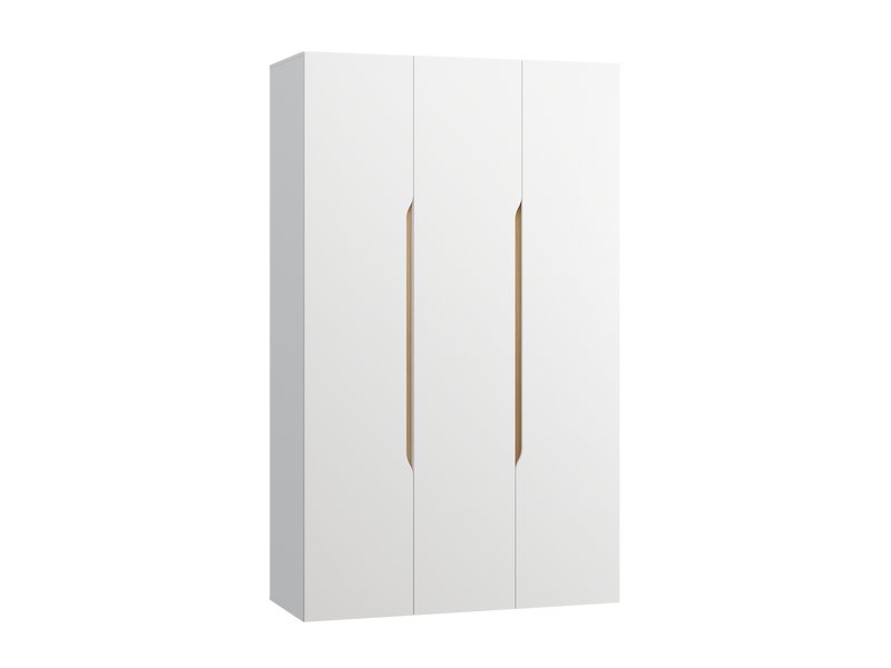 Распашной шкаф Ренар 3-150x250 Белый