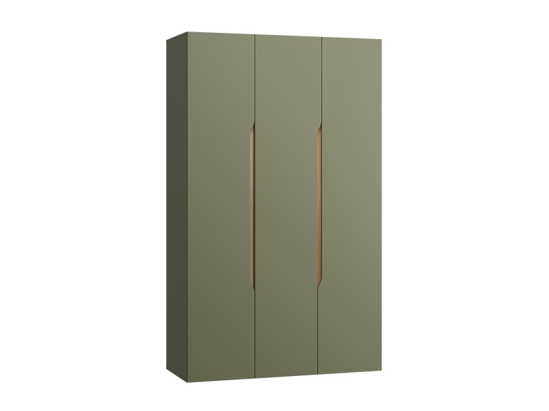 Распашной шкаф Ренар 3-150x250 Оливковый