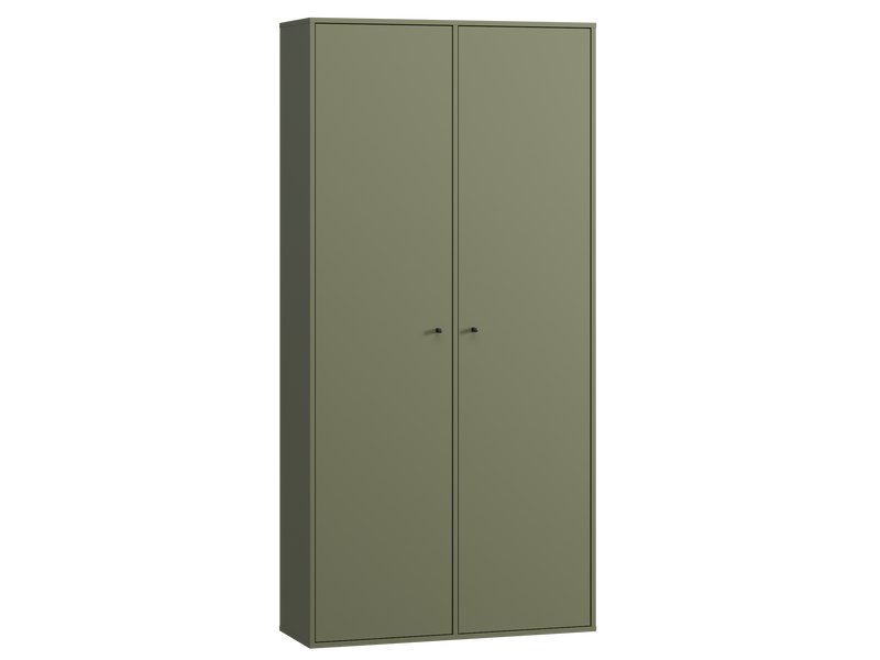 Распашной шкаф Сайрис 2-98x202 Оливковый