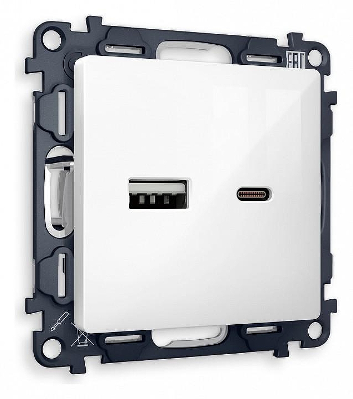 Розетка 2хUSB type A и C без рамки Ambrella Volt Quant MA111010 цвет Белый