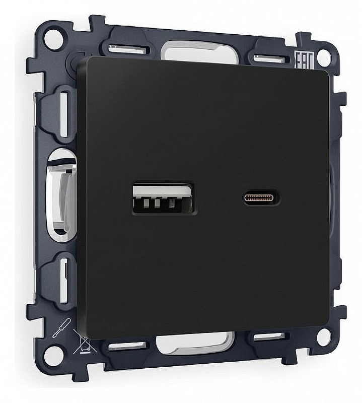 Розетка 2хUSB type A и C без рамки Ambrella Volt Quant MA811010 цвет Черный