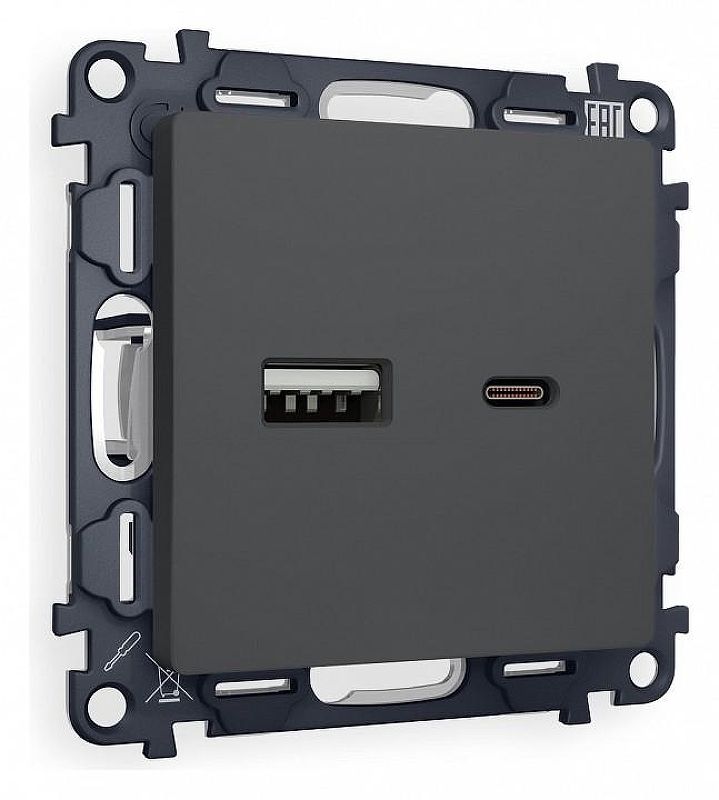 Розетка 2хUSB type A и C без рамки Ambrella Volt Quant MA911010 цвет Графит