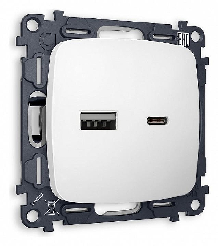 Розетка 2хUSB type A и C без рамки Ambrella Volt Quant MO131010 цвет Белый