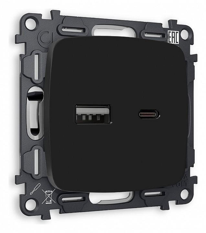 Розетка 2хUSB type A и C без рамки Ambrella Volt Quant MO811010 цвет Черный