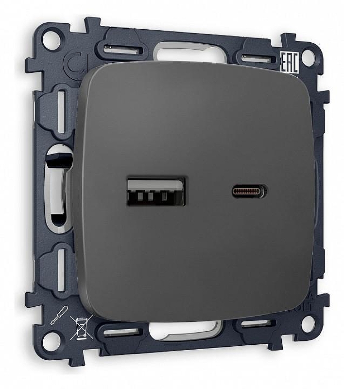 Розетка 2хUSB type A и C без рамки Ambrella Volt Quant MO911010 цвет Графит