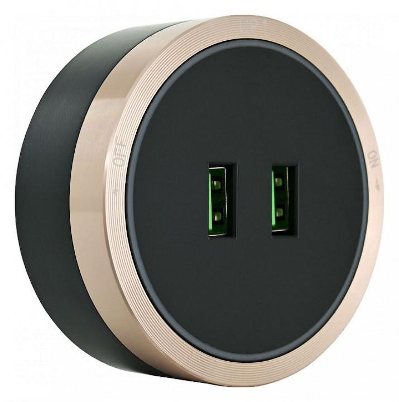 Розетка 2xUSB на треке Arte Milano Am-track-sockets 380066TS LED/USBx2 Gold цвет Золото